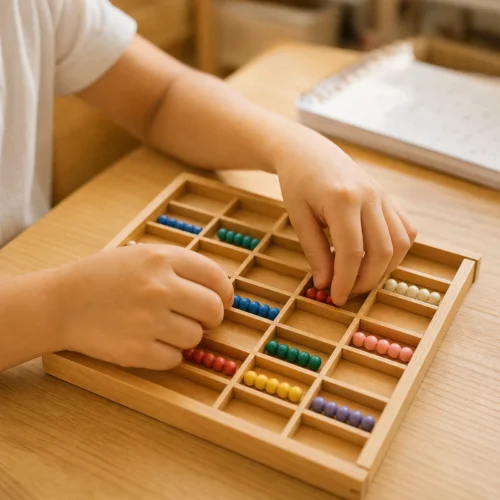 FORMAÇÃO MONTESSORI PRESENCIAL - Classe 6-12